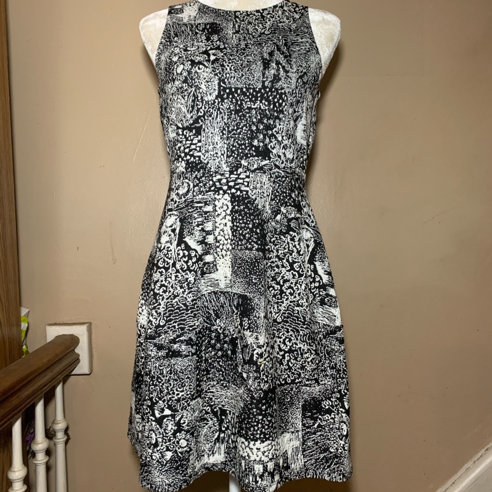 BCBGMaxazria Dress